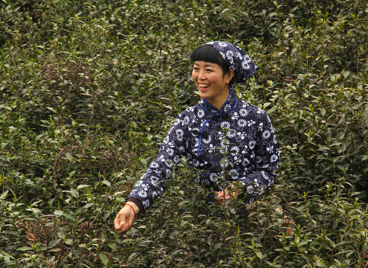 末班车女人